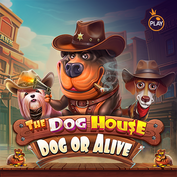 รวมเกมสล็อตทุกค่าย - The Dog House – Dog or Alive